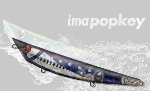Cover image : アムズデザイン(ima) ima ポッキー #IP012 セグロ 120mm 144012