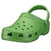 Amazon price tracker, Amazon price history charts, Crocs Classic Clog,Lime,Women's 11 M US/Men's 9 M US