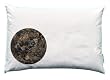 Organic Buckwheat Pillow - Japanese Size (14" x 20")