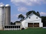 Amish Farm with Tobacco Dried in Barn, PA Photographic Poster Print