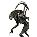 Alien VS. Predator: Requiem NECA Action Figure Series 1 Predalien (Alien Hybrid)