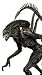 Alien VS. Predator: Requiem NECA Action Figure Series 1 Predalien (Alien Hybrid)