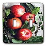 Fruit Food - Apple - Light Switch Covers - double toggle switch