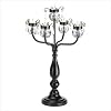CRYSTAL-TRIMMED CANDELABRA [Kitchen]