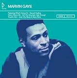 Icons: Marvin Gaye