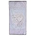 Disney Frozen Anna & Elsa Queen of the North Mountain Towel (30 x 60 Inches)