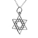 Sterling Silver Star of David Necklace