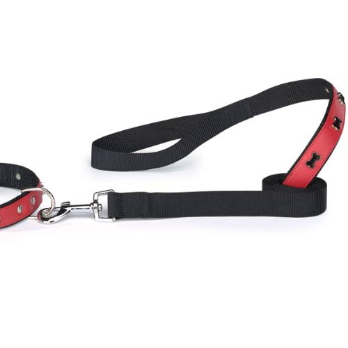 4 ft Durable Nylon Bone Charm Dog Leash