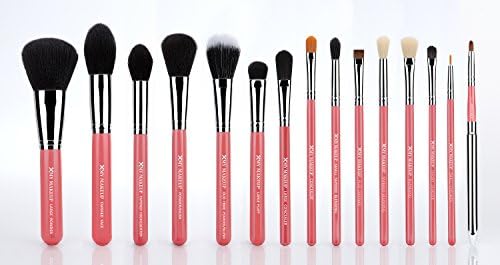 XMY Makeup 15pcs Professional Makeup Brushes Cosmetic Make up Brush Set Superior Soft (Pink/Silver)