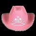 Child Pink Blinking Tiara Cowboy Hat