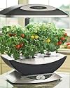 AeroGarden® 6-Pod Elite Plus