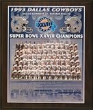 Dallas Cowboys 1993 Super Bowl Champions Healy Plaque