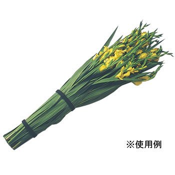 Cover image : マジックバンド 黒 CP-09