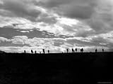 Turkish Soldiers Advancing Towards Their Objective as They Attempt to Capture a Hill Photographic Poster Print by Margaret Bourke-White, 24x18