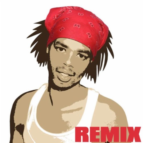 Bed Intruder Song Remix feat Kelly Dodson