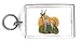 Keychain with nature, kudu, imberbis, lesser, environment, animal, tragelaphus, savan...