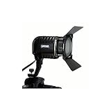 300 Watt Professional Video Light for Camcorder - Camera