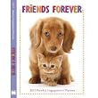 Friends Forever 2011 Engagement Calendar/Diary