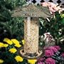 12 Inch Trumpet VineTube Feeder, Veridgris