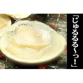 �y���I�z�����n�}�O�� ��������~�ƂƂ��Ɖ������� �Ƃ��Ă�����������ł�~ �{�� ���n�}�O���iL�T�C�Y�@��1kg���j
