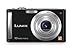 Kamera & Foto : Panasonic DMC-FS5EG-K Digitalkamera (10,1 Megapixel, 4-fach opt. Zoom, 2,5