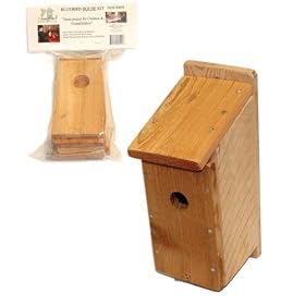 Songbird Essentials SESC00605 Bluebird Kit Bird House
