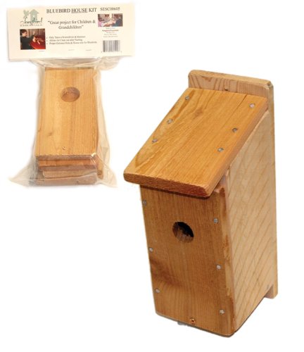 Songbird Essentials SESC00605 Bluebird Kit Bird House