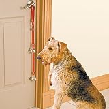 Dog Doorbell – Improvements