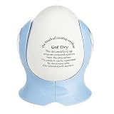DEHUMIDIFYING EGG - REMOVE EXCESS MOISTURE FROM THE AIR!
