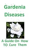 Gardenia Diseases and Other Problems : how To Cure Them
