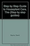 A step-by-step guide to houseplant care