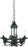 Artcraft Lighting AC1797EB