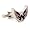 Washington Capitals