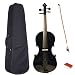 ViolinSmart 4/4 Full Size Student Violin w/Bow, Case, and Rosin - Solid Black