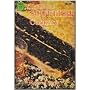 Traditional Scottish Cookery (Instant Books)