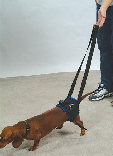 Walkabout Harness - Large Walkabout Harness - Large