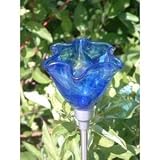 Firefly Blue Poppy