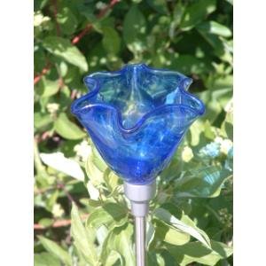 Firefly Blue Poppy