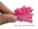 Grosgrain Ribbon Wrapped Alligator Baby Hair Bow Flower Clips (10 Pairs)