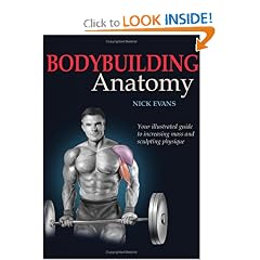 Bodybuilding Anatomy