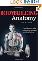 Bodybuilding Anatomy