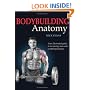 Bodybuilding Anatomy