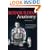 Bodybuilding Anatomy