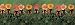 Wild Roses People Art Poster Print by Anne Geddes, 36x12