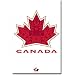 Eishockey Poster mit dem offiziellen Team Canada Vancouver Olympics 2010 Logo.Gr��e: ca. 56,50 cm x 
86,40 cm.A must for the wall of any patriotic Canadian hockey fan! This poster features the official 
Team Canada logo for the 2010 Olympic Games in Vancouver - the classic red Canadian leaf inlaid with 
smaller Maple Leafs that represent the gold medal counts for Canada�"s men�"s, women�"s and 
sledge hockey teams; the thunderbird and eagle, two powerful First Nations symbols supporting and 
protecting the central Maple Leaf; Quebec