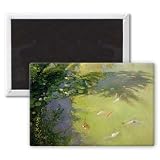 Featherplay (oil on canvas) by Timothy.. - 3x2 inch Fridge Magnet - large magnetic button - Magnet