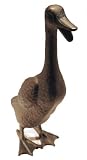 Zoobox ZD-0203F-CB Water Gardening Standing Duck Copper Bronze Large