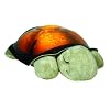 Cloud B BGA10 Twilight Turtle Constellation Nightlight (Mocha)