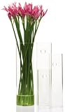Large Glass Cylinder Wall Vase