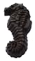 J. Michelle Chocolatier Signature Valrhona Solid Dark Chocolate Seahorse, 2-Count Bag